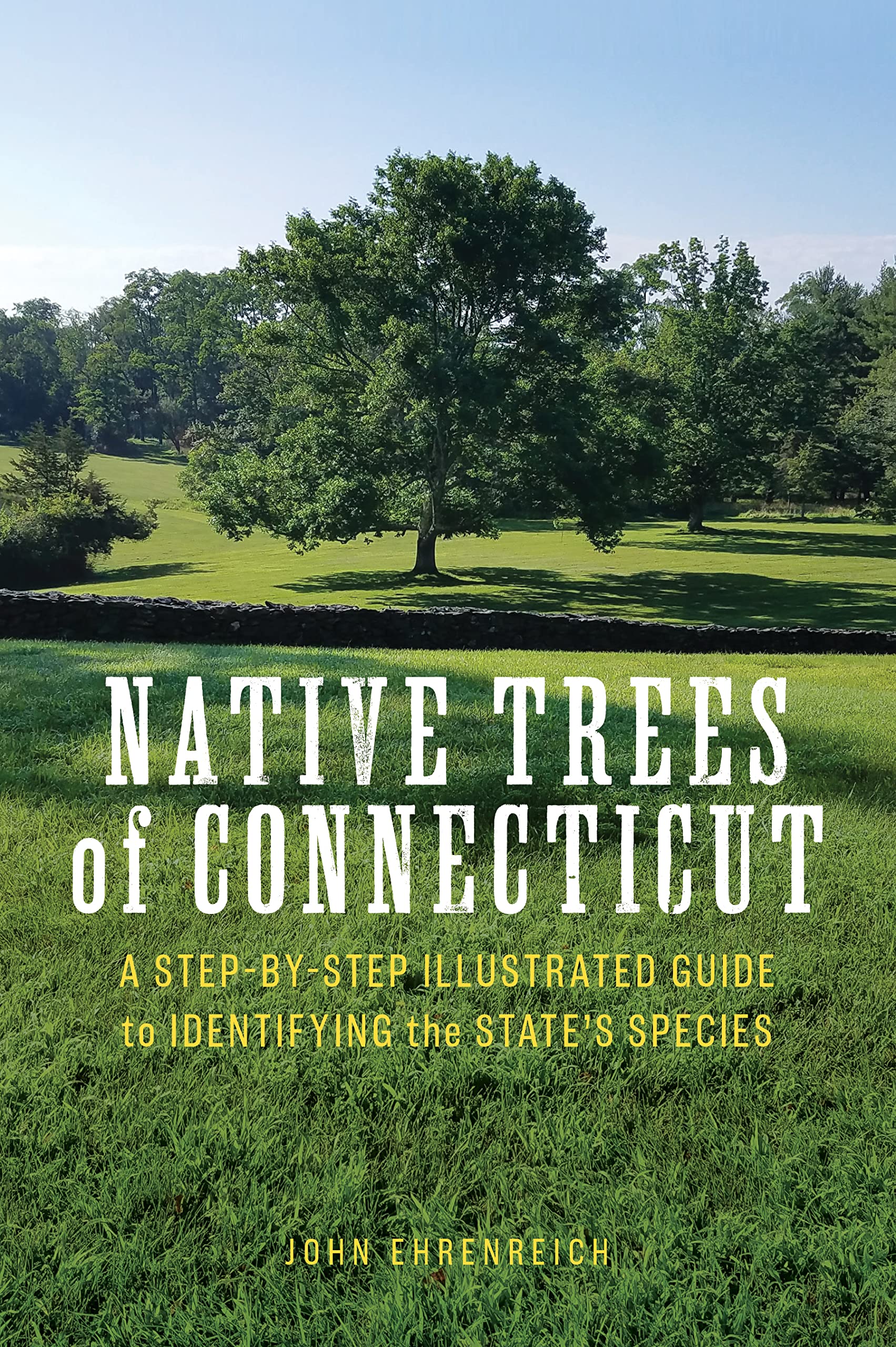 Buy Native Trees of Connecticut A StepbyStep Illustrated Guide to