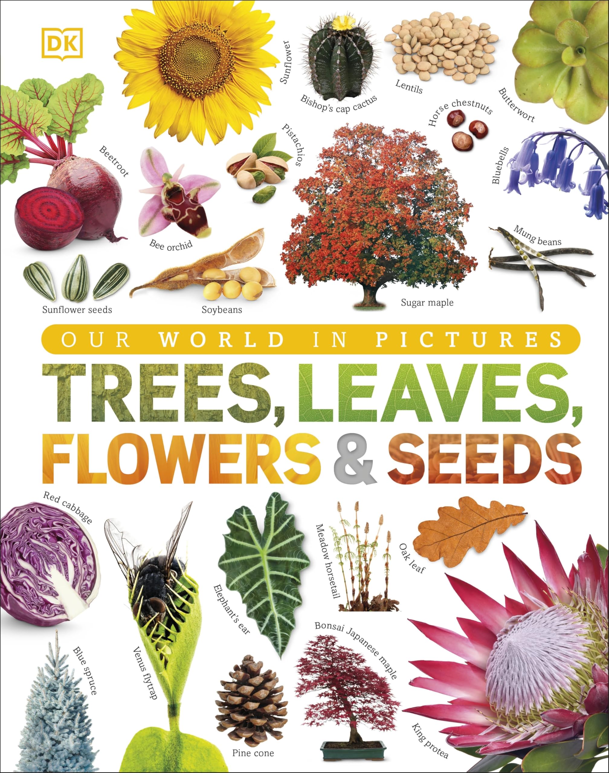 Our World in Pictures: Trees, Leaves, Flowers & Seeds: A visual encyclopedia of the plant kingdom Hardcover – 5 Sept. 2019
