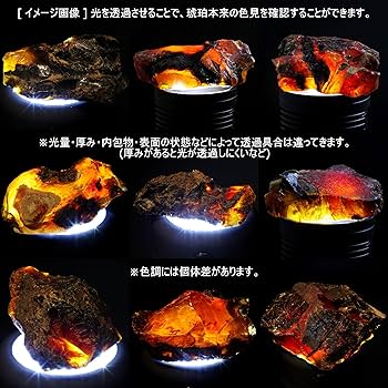 Amazon | [N2 stone Natural] 天然化石 青色蛍光 - 琥珀 (ブルー