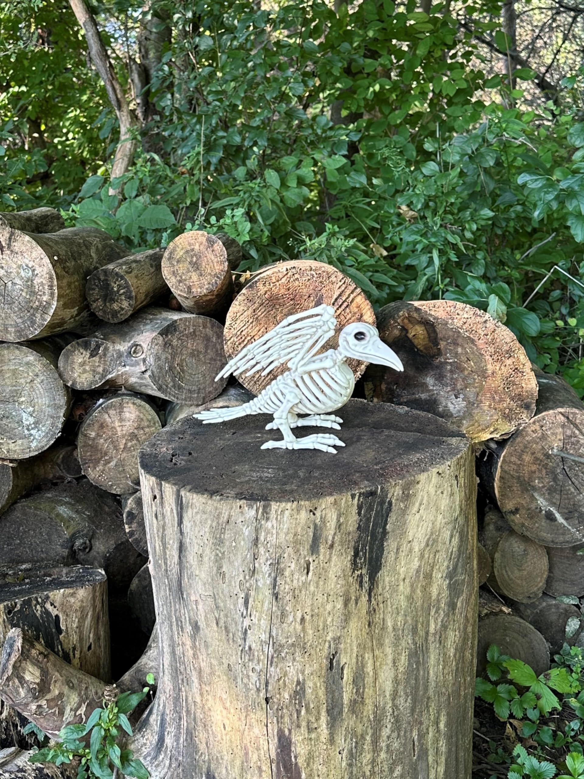Amazon.co.jp: Crazy Bonez スケルトンバード : DIY・工具・ガーデン