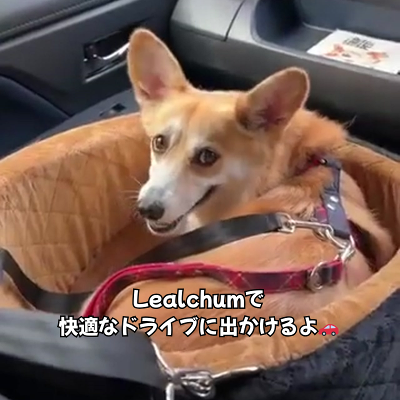 Amazon.co.jp: Lealchum 犬 ドライブボックス ドライブベッド 車 中型