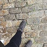 Review Image by Badwolfgirl224 Badwolfgirl224