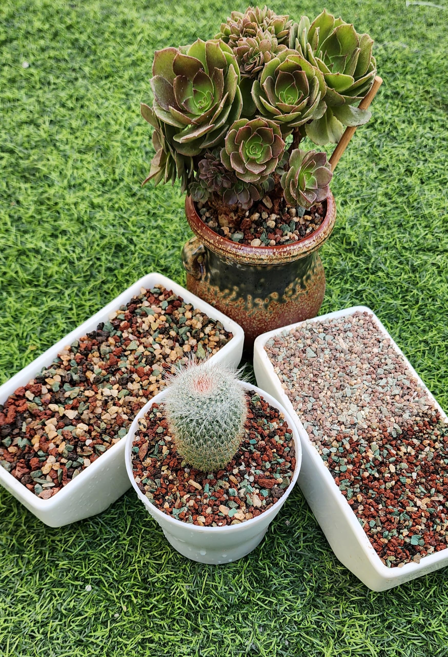 Horticultural grit, Garden stones, Mixture of maifan, zeolite stone, red and black lava stone, pumice stone for Bonsai, Cactus, Succulent and aquatic plants. Size 5-8mm weight 1.6lb