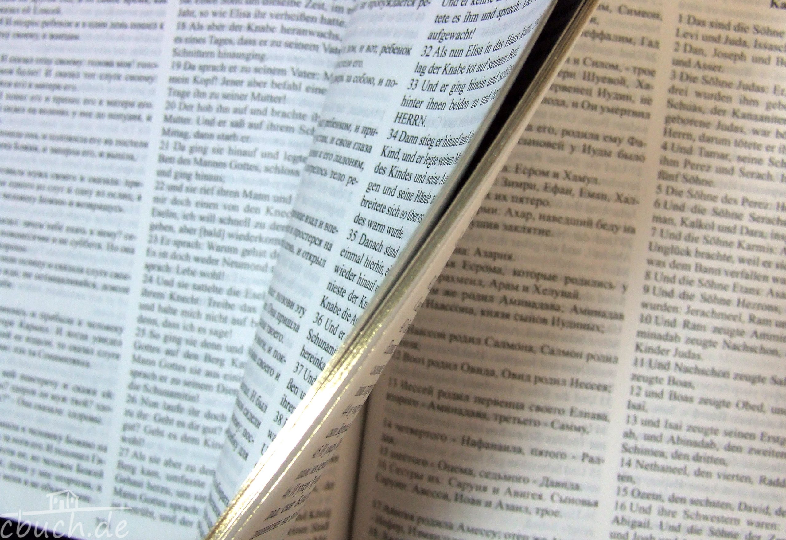 Die Bibel: Russisch-Deutsch mit Leder und Goldschnitt
