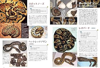 ビバリウムガイド No.95 2021年 12 月号 ハンドりんグ! ☆特別付録