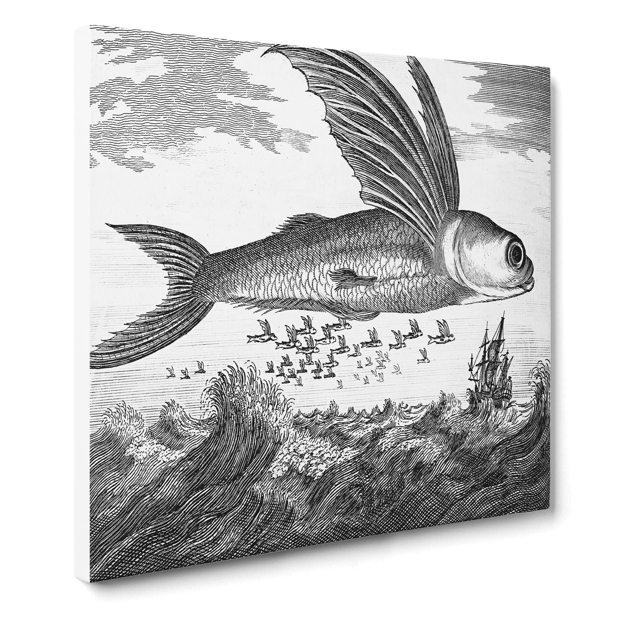 Flying Fish by Thomas Astley Canvas Print, Mixed, 35L x 35W cm