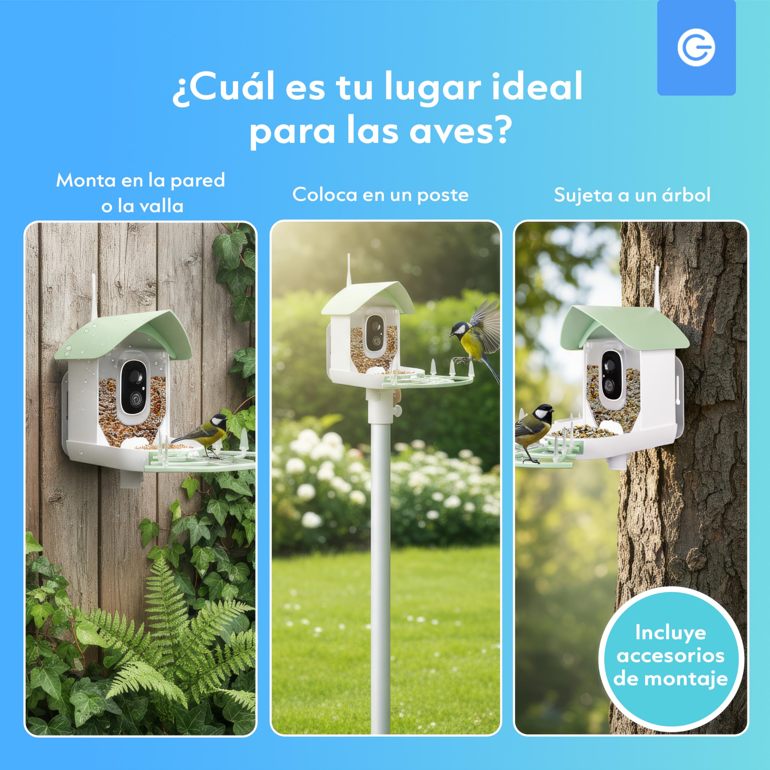 Silvergear® Alimentador de pájaros inteligente | Comedero Automático Para Pájaros Con Cámara | Para Pájaros Con Panel Solar | Vídeos En Directo Y Notificaciones En Tiempo Real