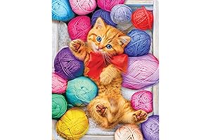 Kodak Premium Cuddly Yarn Box 100-Piece Puzzle
