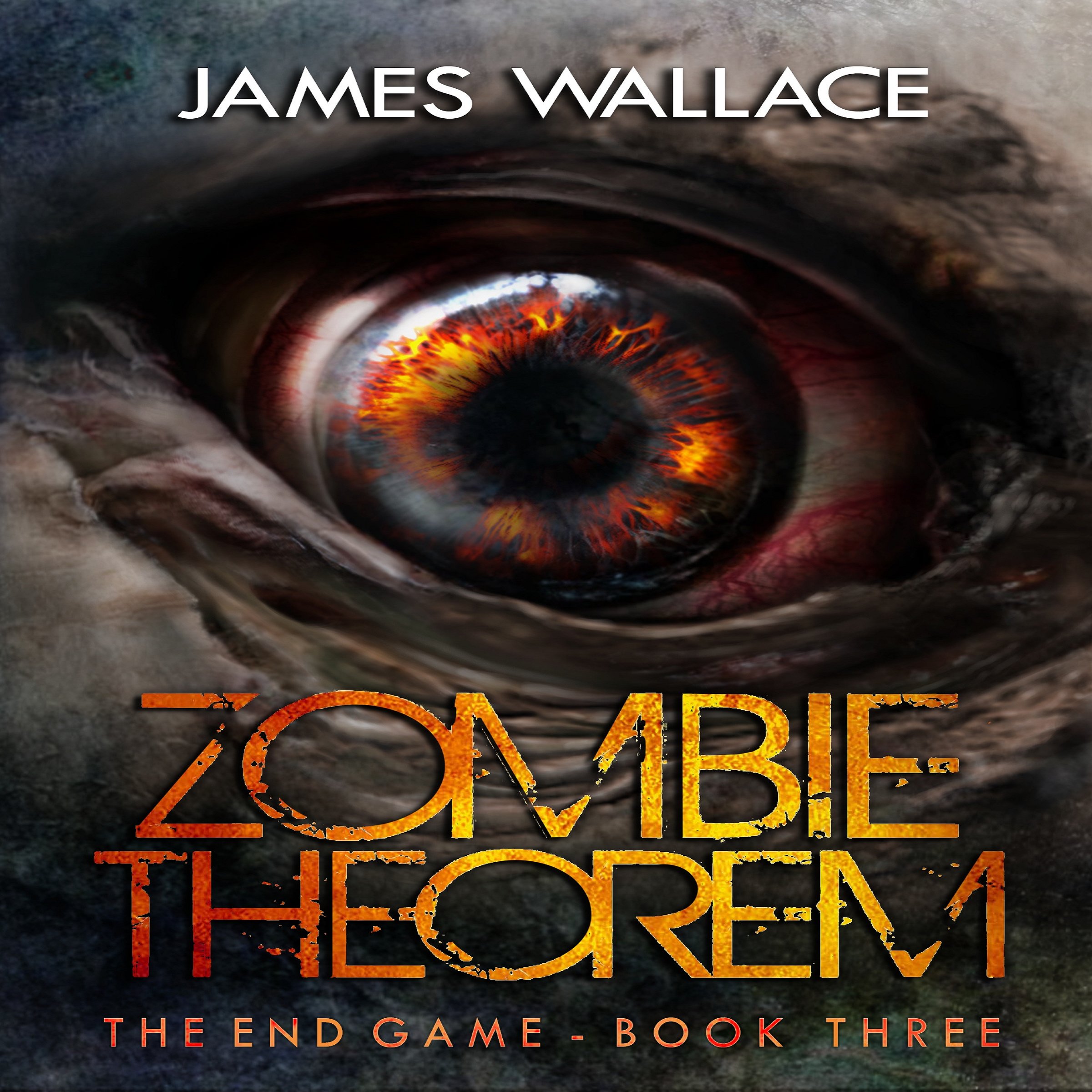 Cover art for The End Game