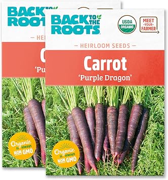 Back to The Roots 100% Organic Heirloom Seeds - Carrot Purple Dragon Value Pack