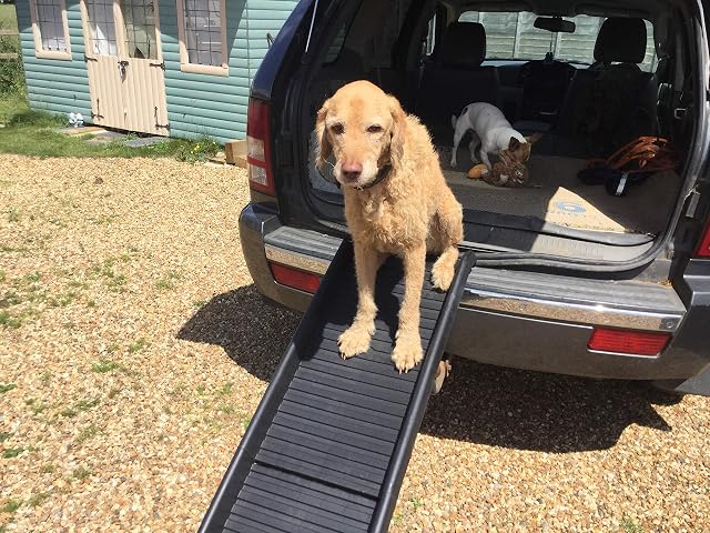 doghealth pet ramp