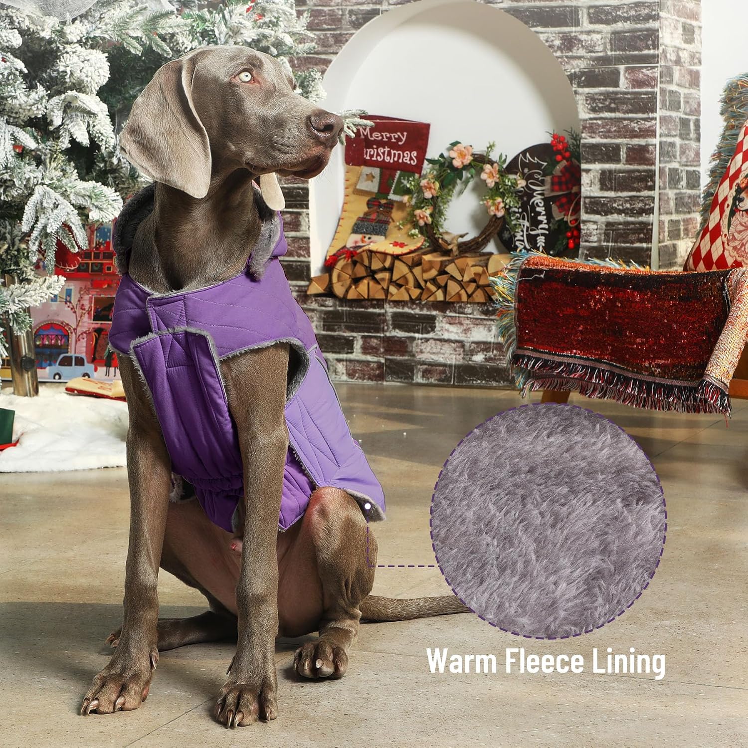 JoyDaog 100% Polyester Dog Hoodie for Small Medium Dogs Super Warm Puppy Jacket for Cold Winter Dog Coats, Purple M | Detachable Hood Dog Jacket for Cold Weather,Wide Leash Holes for Daily Walk,Dog Park,10-15 Lbs,Short-Haired Breeds