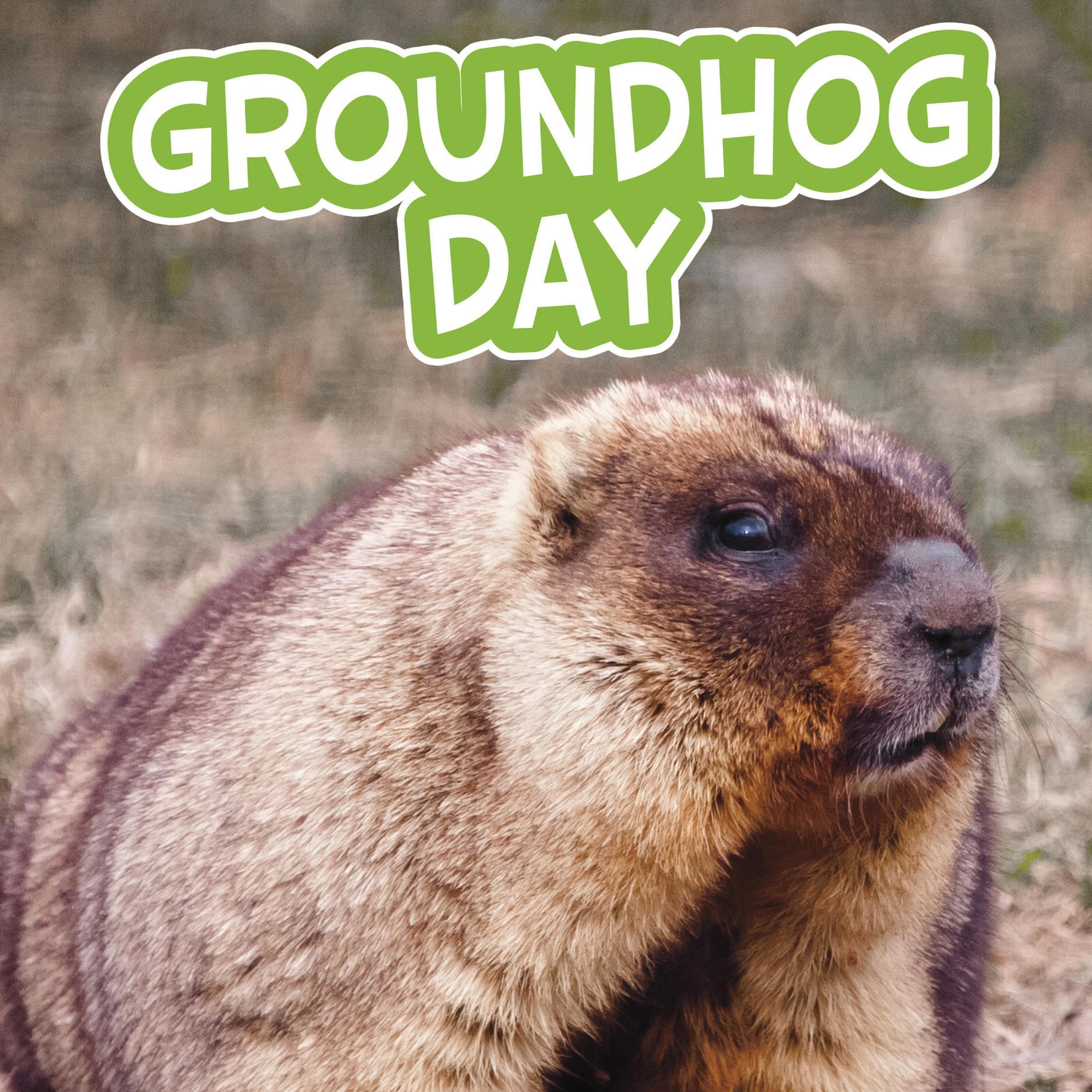 Groundhog Day