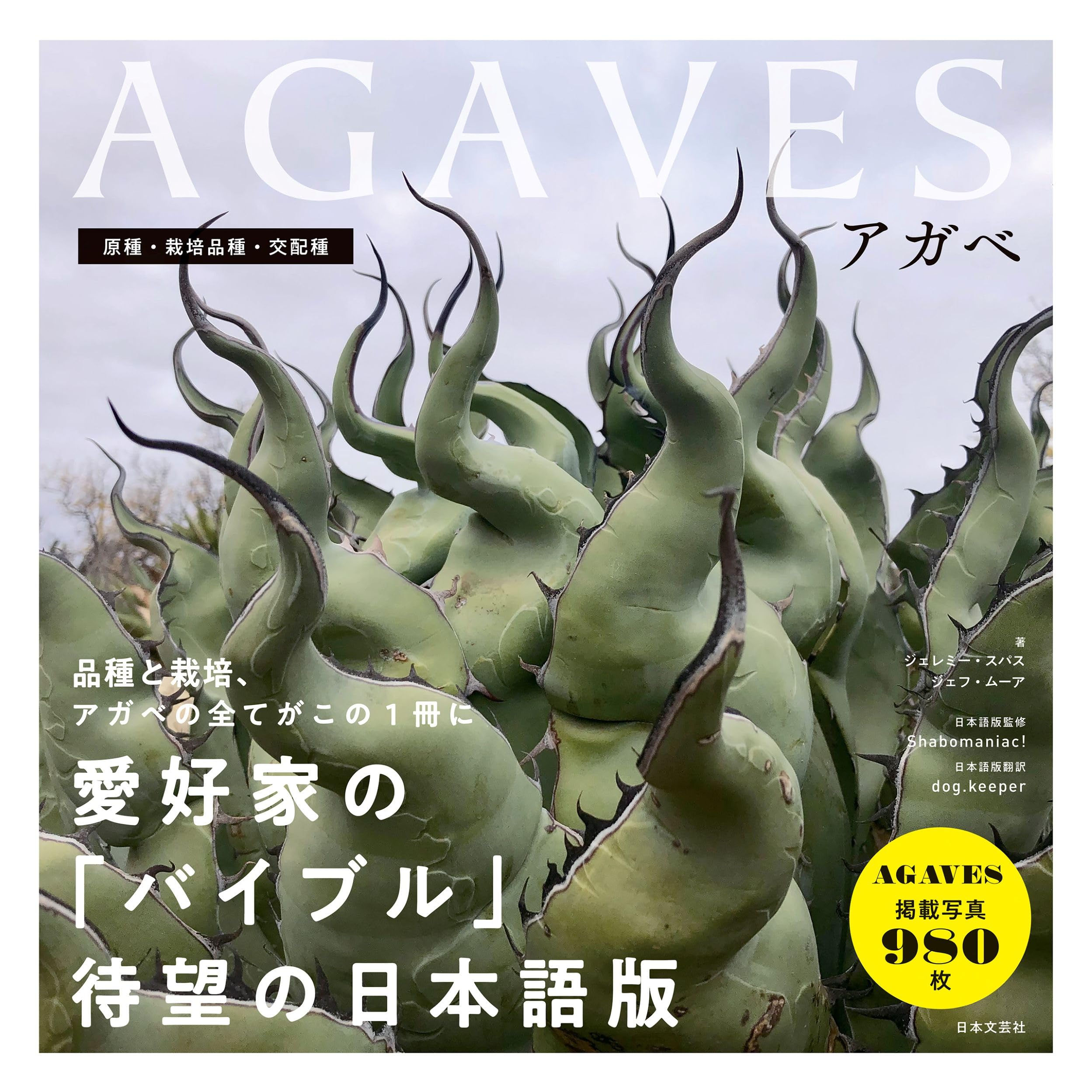 AGAVES アガベ: 原種・栽培品種・交配種 | ジェレミー・スパス, ジェフ