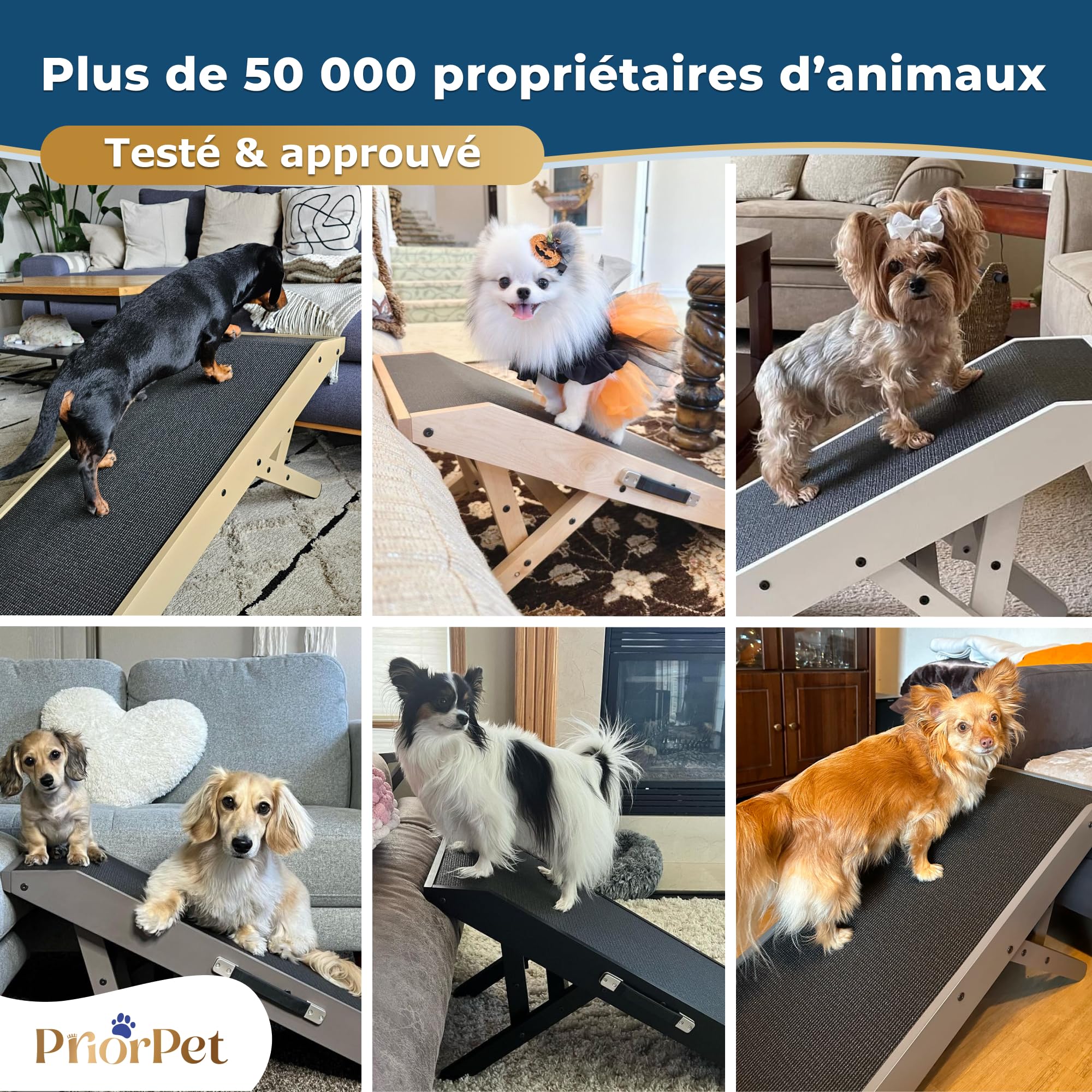 Rampe pour Chien de Petite ou Grande Taille - Surface antidérapante - Rampe Pliable et Réglable de 18 à 53 cm - pour lit et Canapé - La Plateforme se connecte Parfaitement - Bois de Bouleau - Naturel