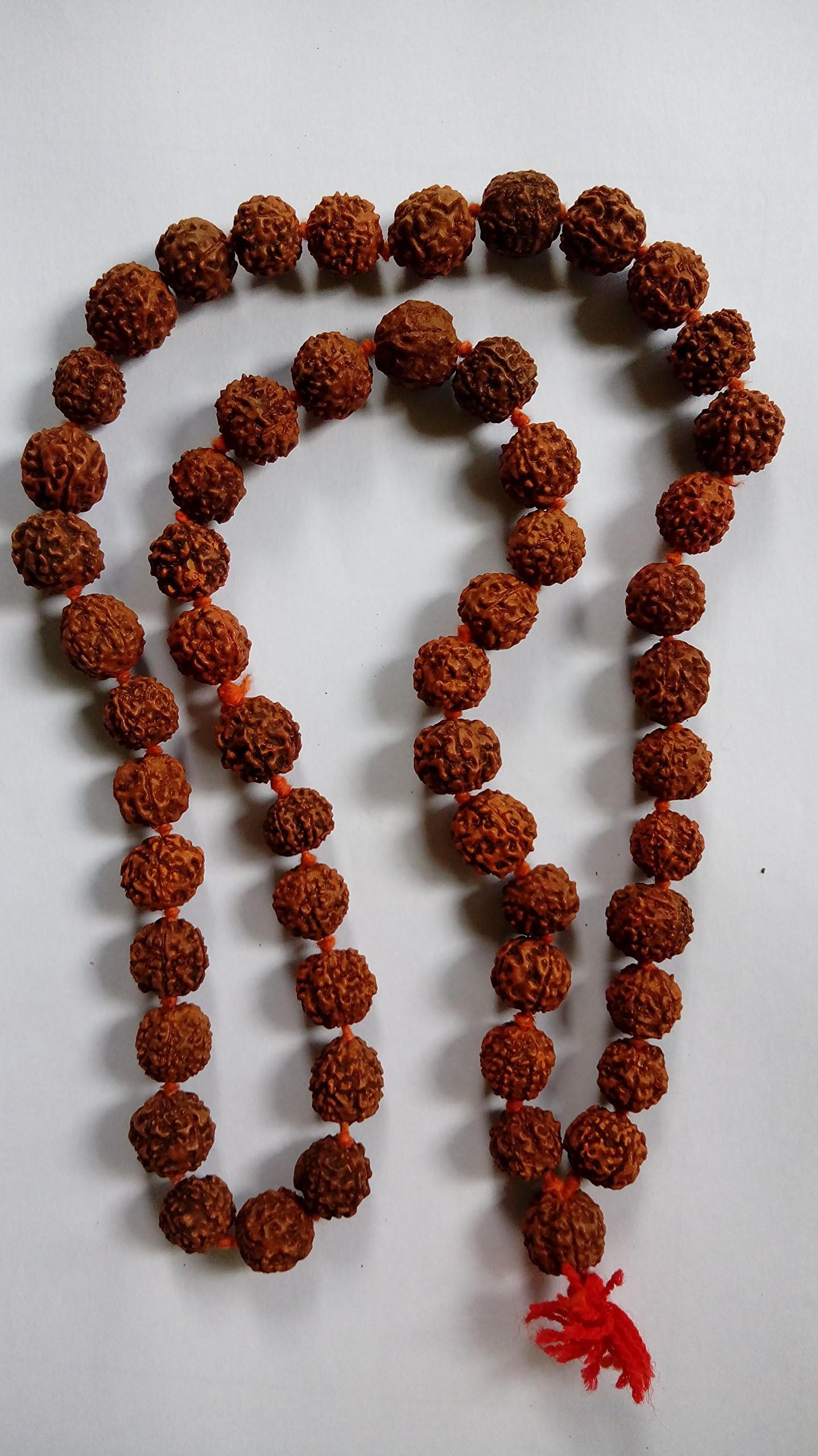 ISKCON Rudraksha 5 Mukhi RUDRAKSHA JAAP MALA/Beads for Pooja (Astrology) Big(54+1 Beads) and Certified