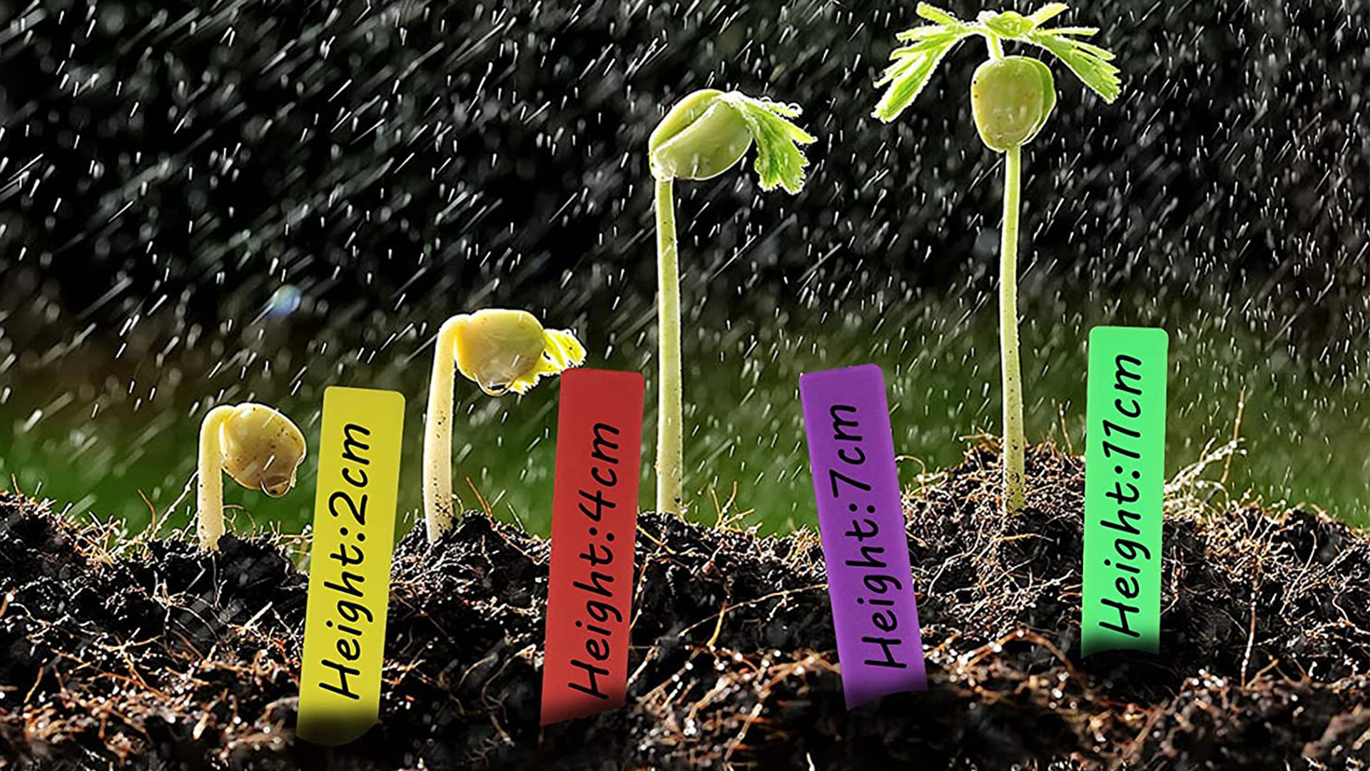 Amazon.com: Mziart 120Pcs 6 Colors Plastic Plant Labels Wrap