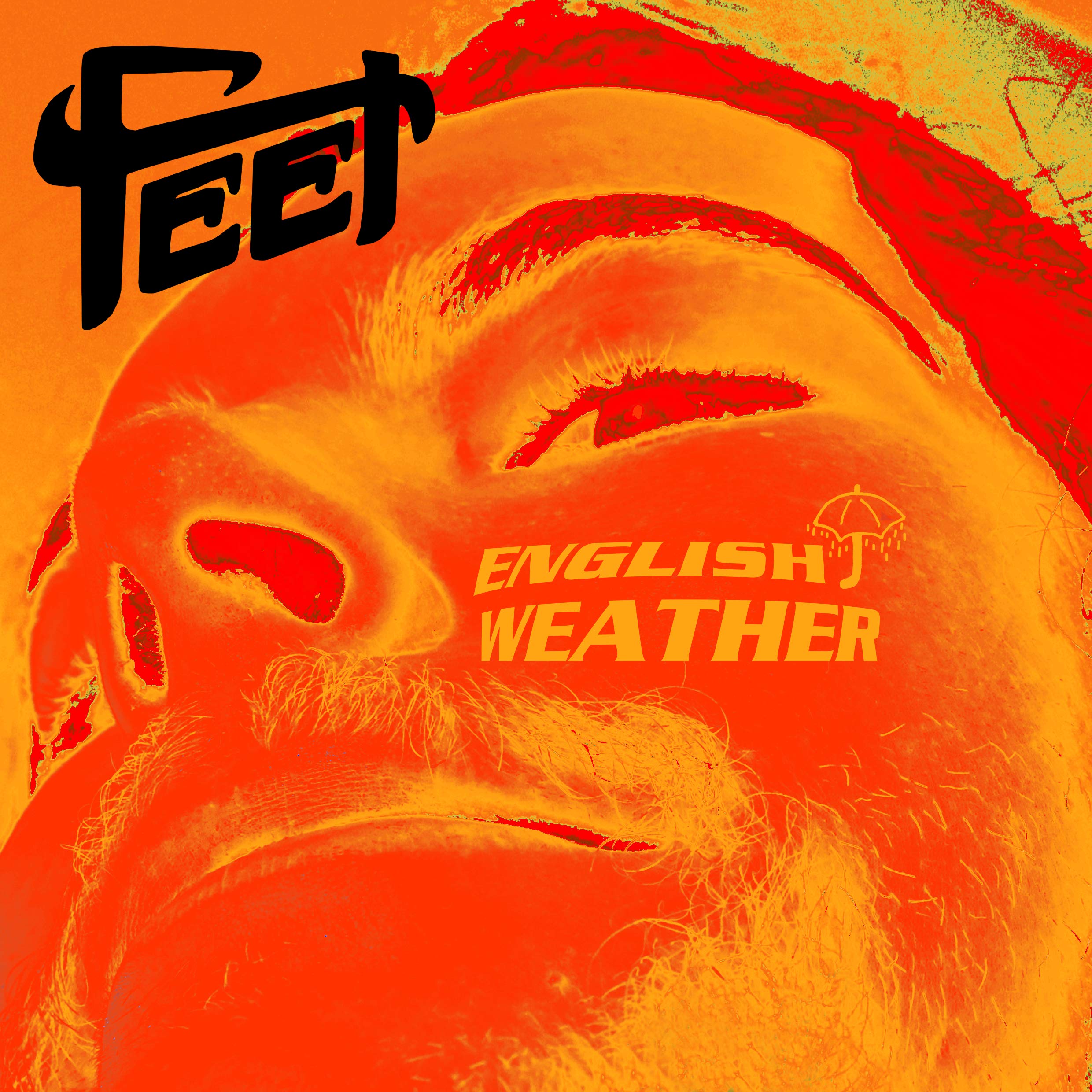 English Weather [Picture Disc] by FEET (Record, 2019)