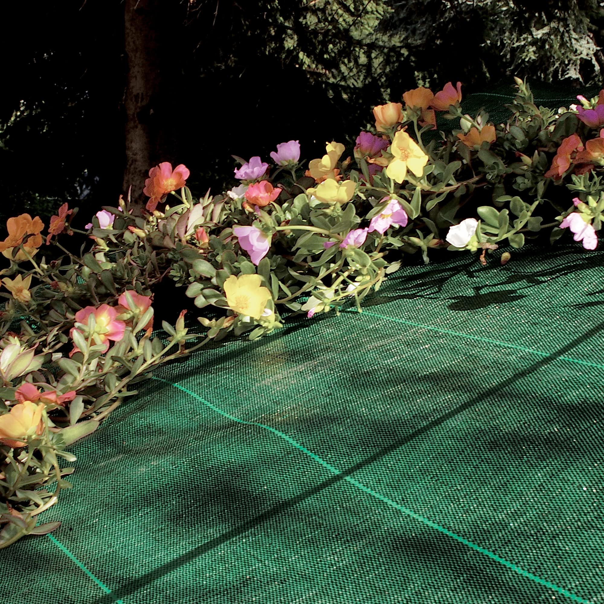 TENAX Tela Antihierbas Cover Pro 1,05x100 m Verde, Tela Anti Maleza para Acolchamiento de Jardines y Huertas, Impide el Crecimiento de Las Malas Hierbas Garantizando la Calidad de los Cultivos