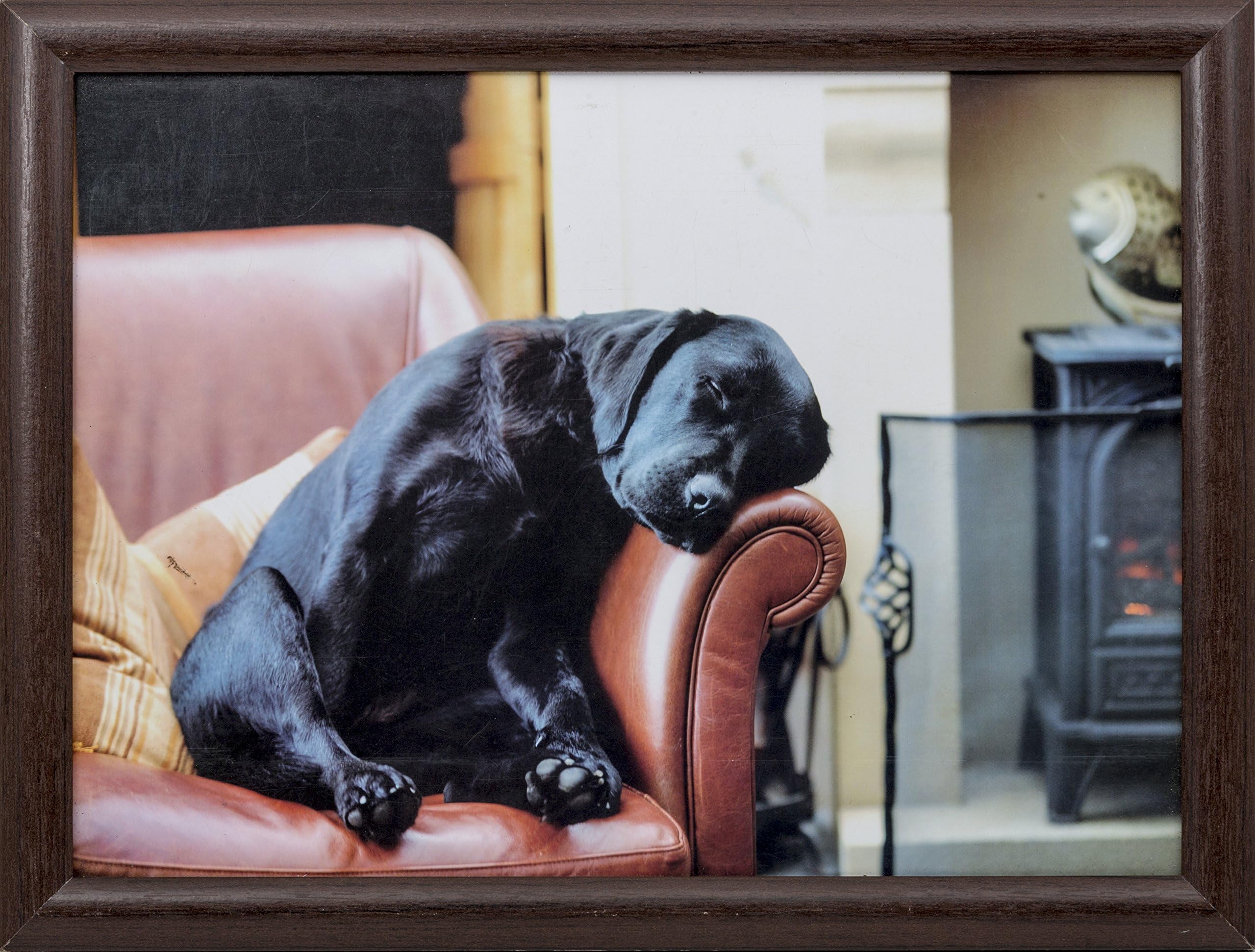 Country Matters Sleeping Lab Lap Tray, Cotton/Polystyrene/Ply Board, Multi-Colour, 43 x 32.5 x 6.5 cm