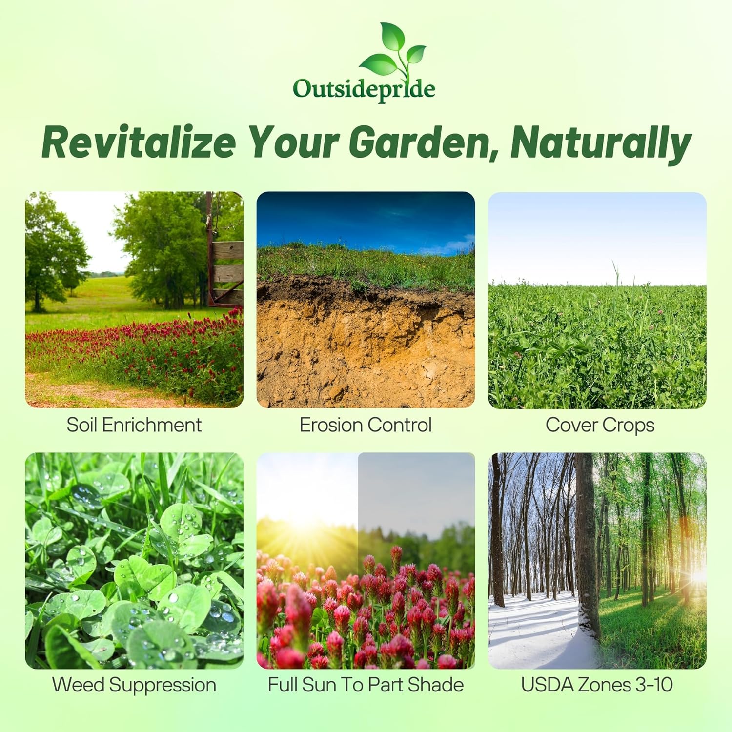 Outsidepride Gardenway Cover Crop Seeds - 25 lbs Nutrient-Rich Seed Mix for Soil Health Improvement & Home Gardens - Mixture of Triticale, Peas, Oats, Vetch, Annual Ryegrass, Crimson Clover