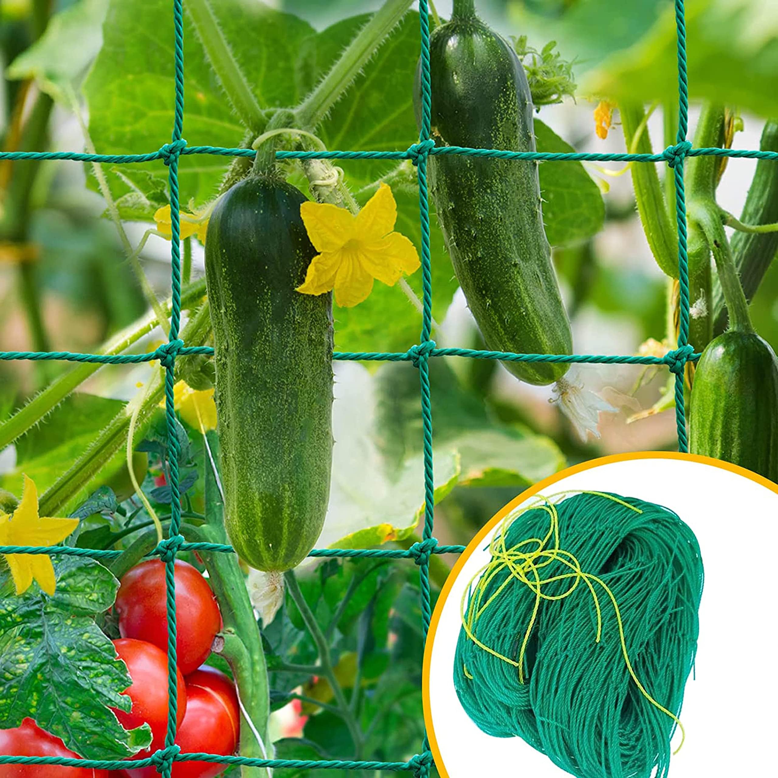 Plant Support net for Climbers, 10 feet x 10 feet (Pack of 3) (B0CHW9CVDD) Amazon Price History, Amazon Price Tracker