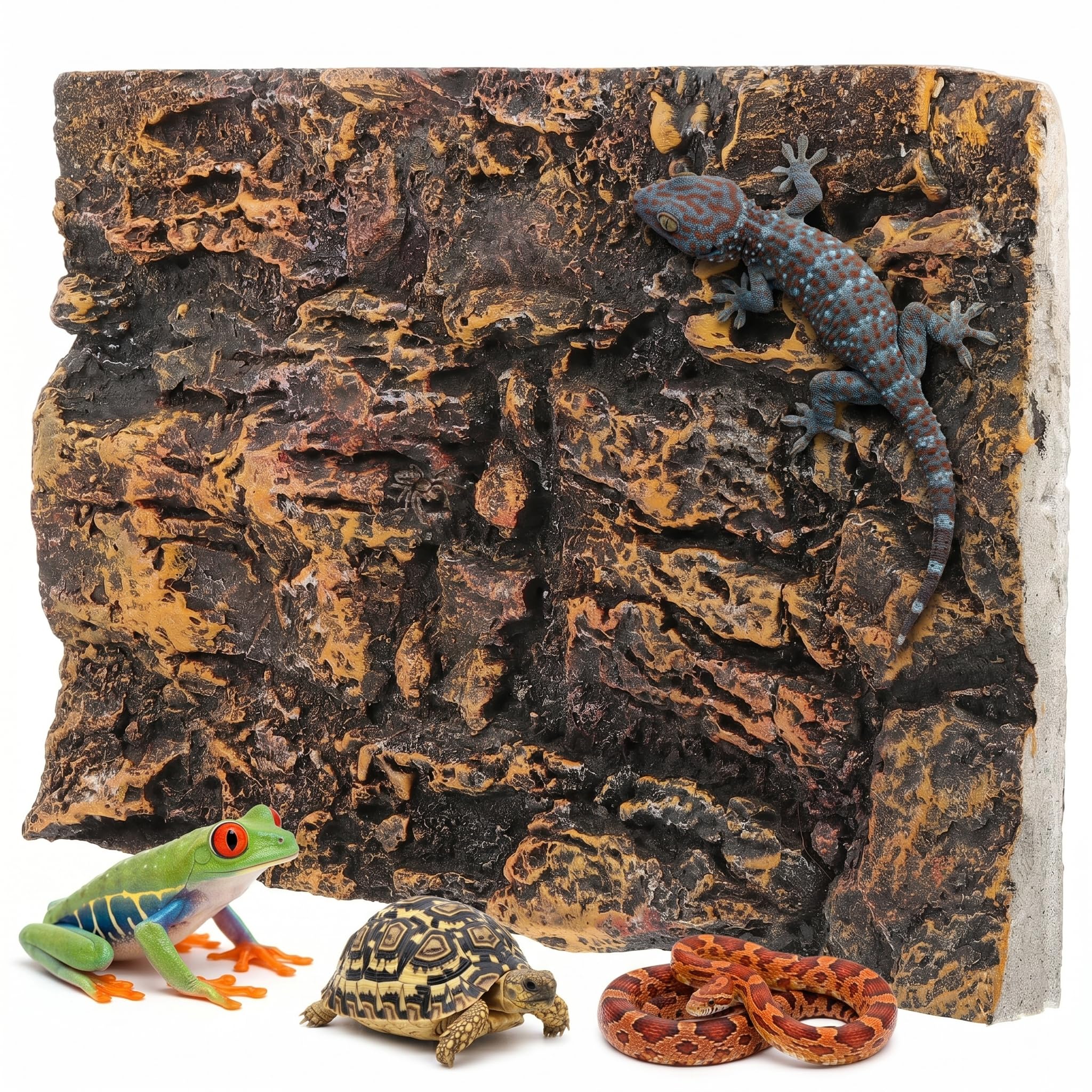Toddmomy Toile de fond 3D pour terrarium de reptiles - Toile de fond décorative pour terrarium barbu, lézard, gecko, araignée, caméléon, tortue, poisson