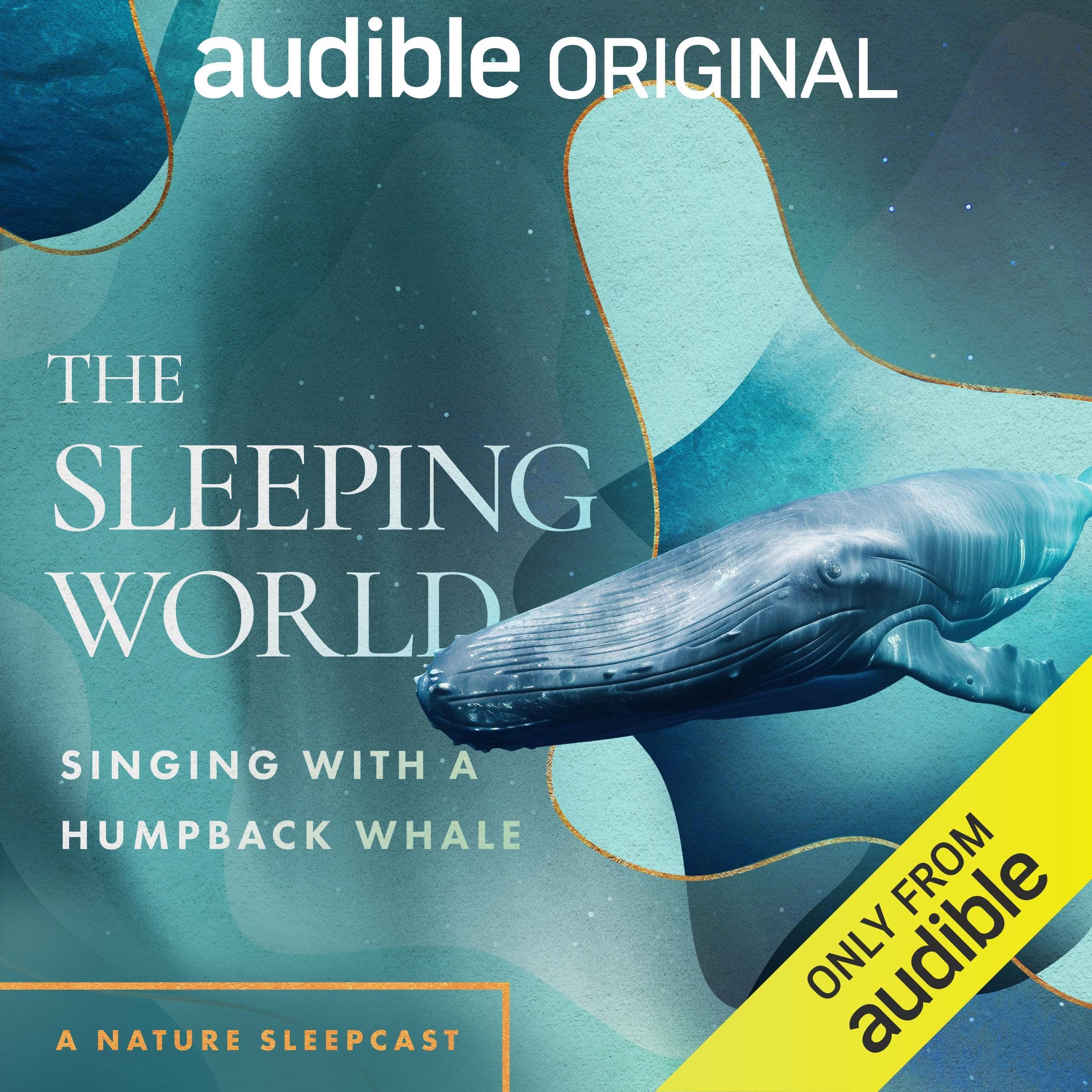 Cover art for The Sleeping World: Singing with a Humpback Whale