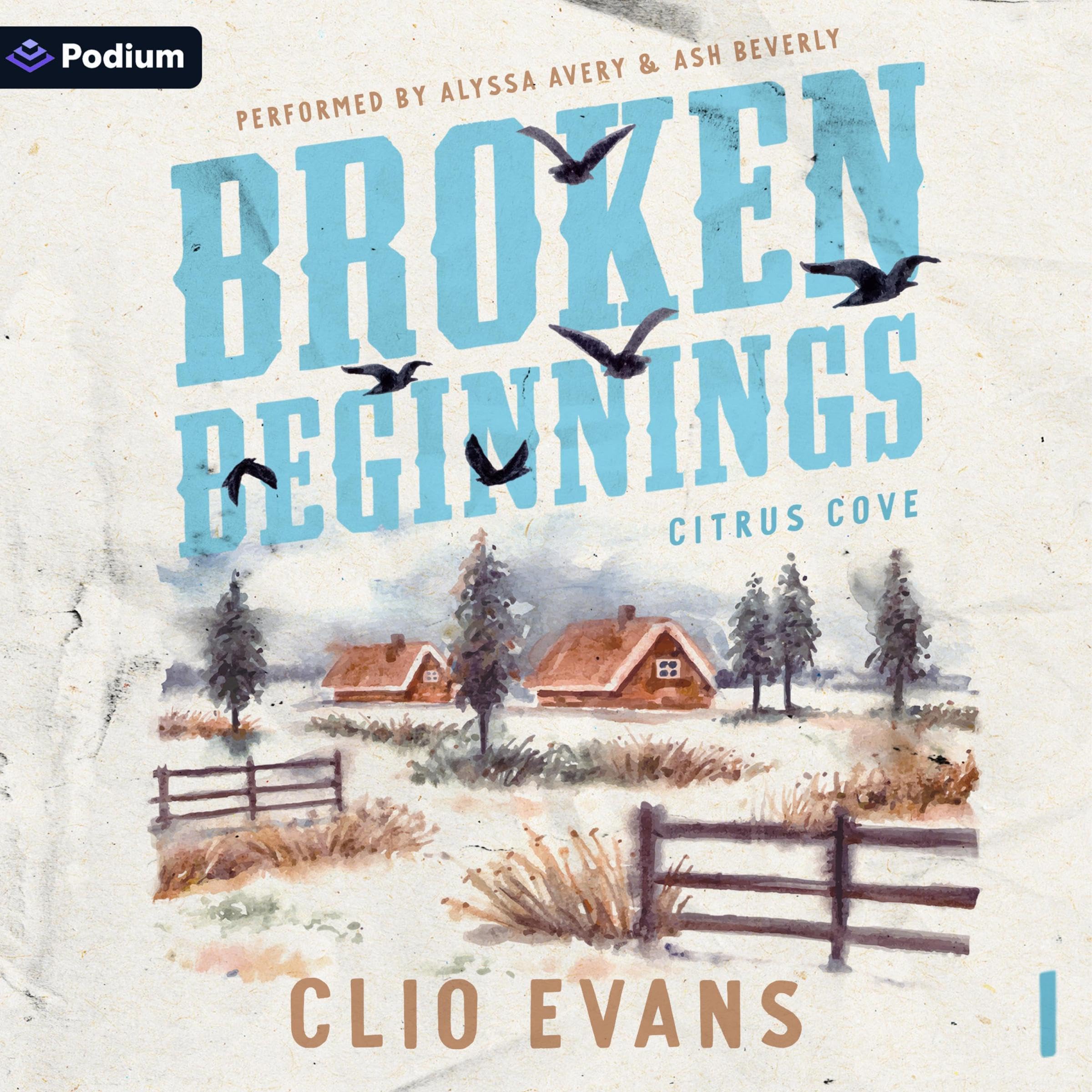 Cover art for Broken Beginnings: Citrus Cove, Book 1