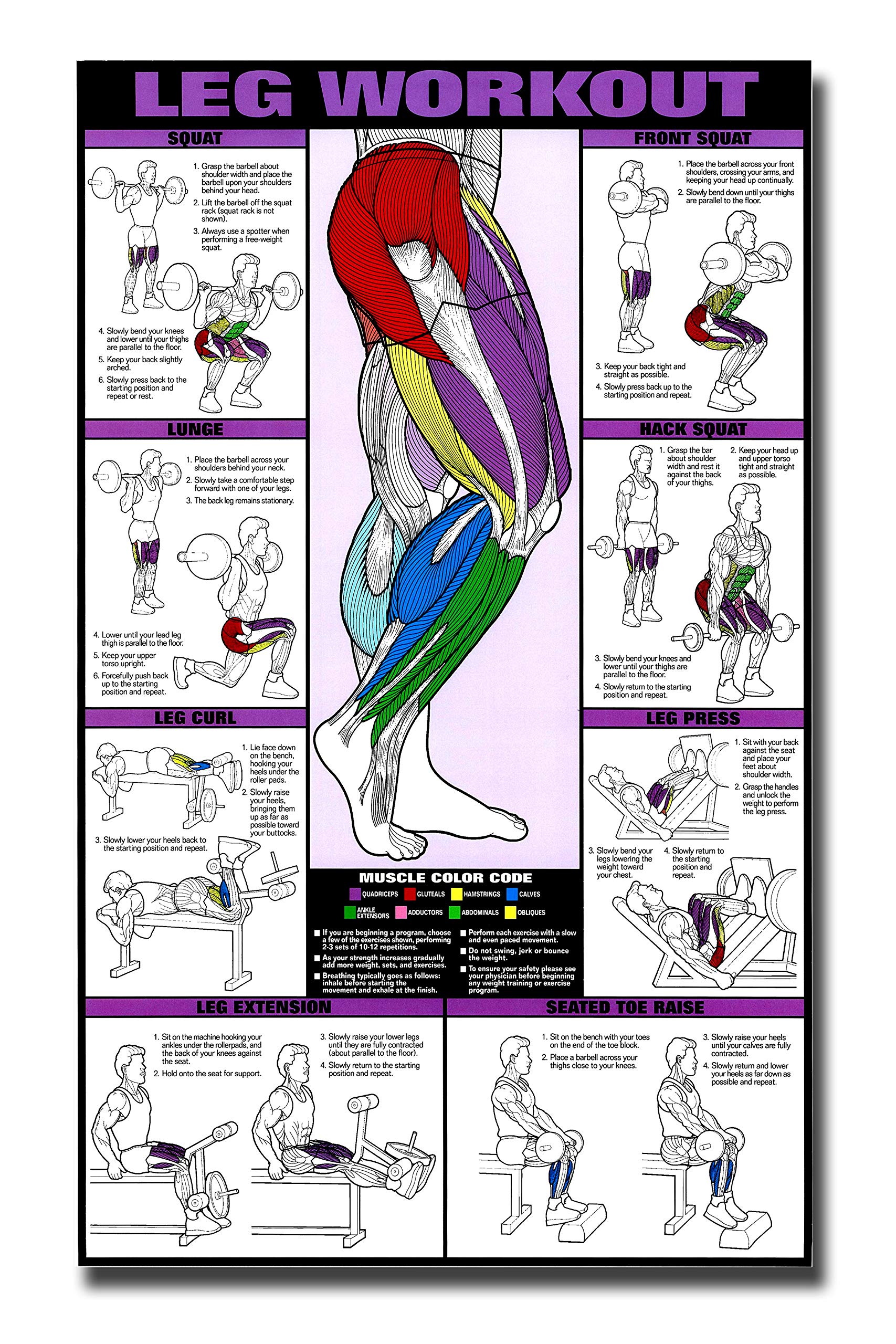PIXELARTZ Wall Poster Legs & Thighs Motivational Workout and Exercises Illustrations Bodybuilding Gym Posters HD Quality Posters for Home, Office, Room, Gym Wall - Multicolor (605)-image-4