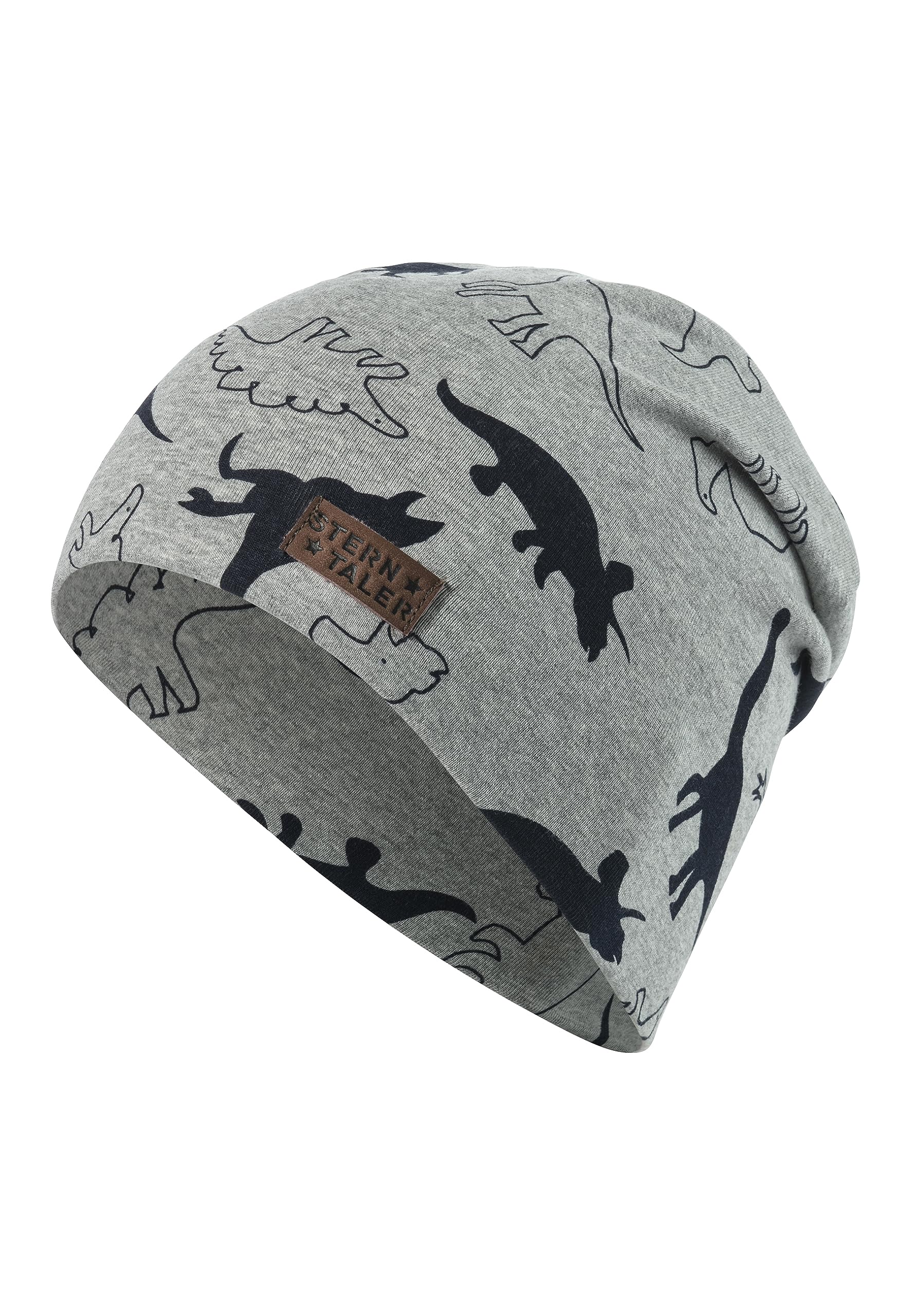 Sterntaler Jungen Mütze Slouch-Beanie Dino2