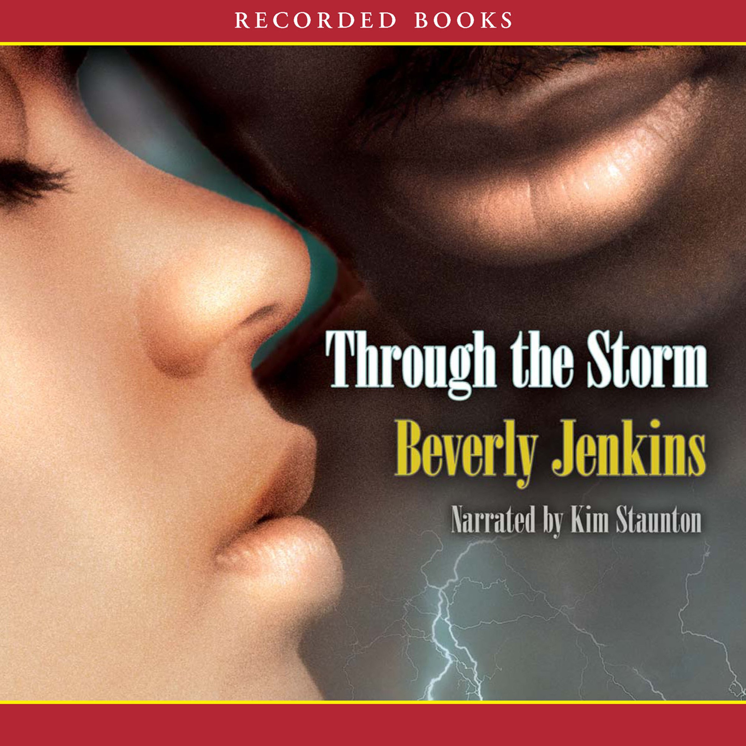 Cover art for Through the Storm
