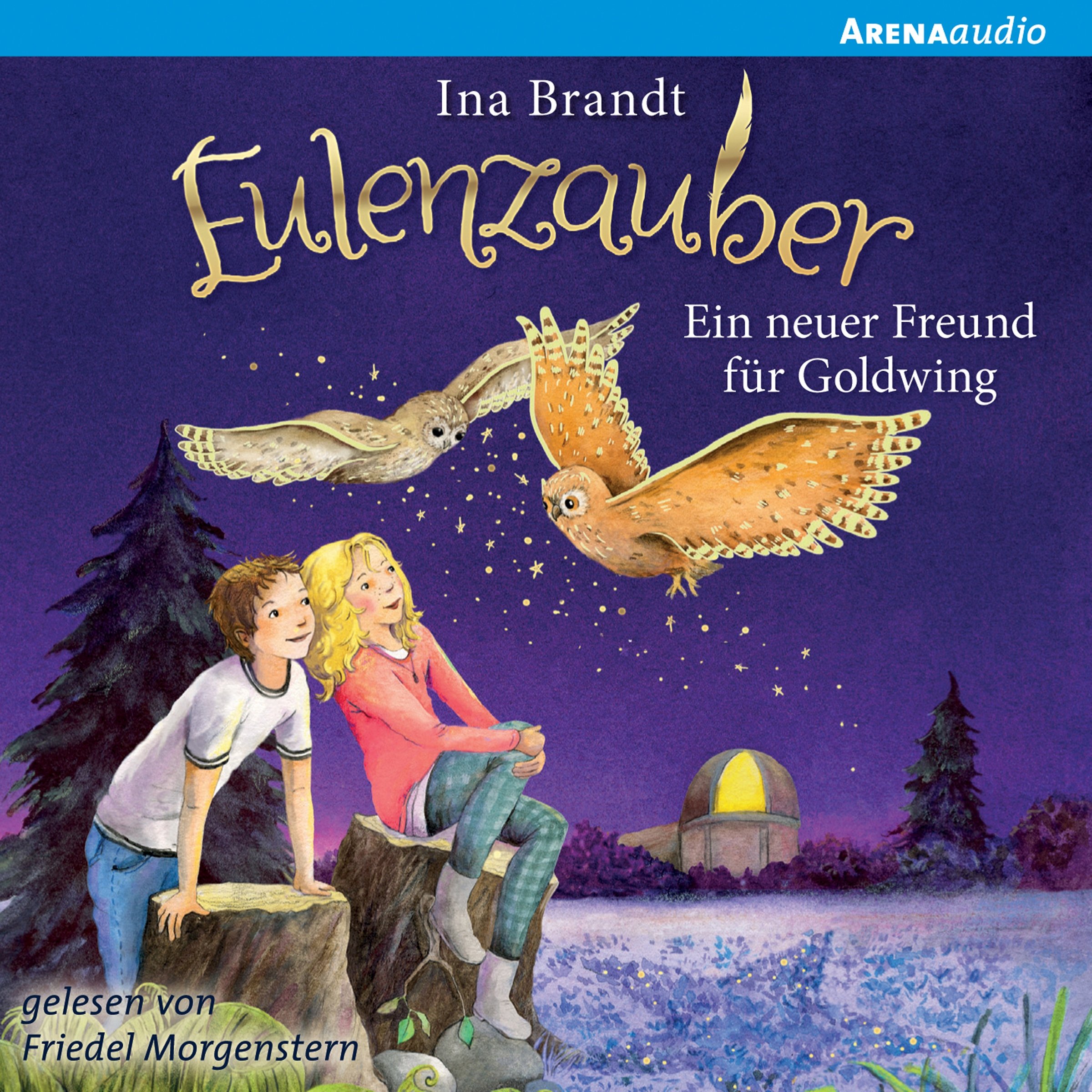 Cover art for Ein Freund für Goldwing