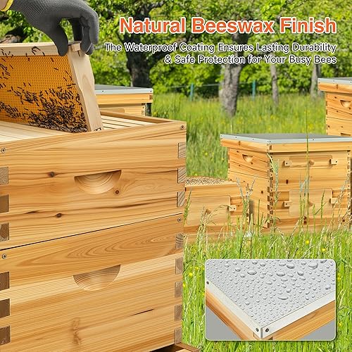 Miniatura 22 de CREWORKS Bee Hive Boxes Kit de iniciación, casa de abejas de 3 capas con 10 marcos y bases medianos y 20 profundos, colmena Langstroth