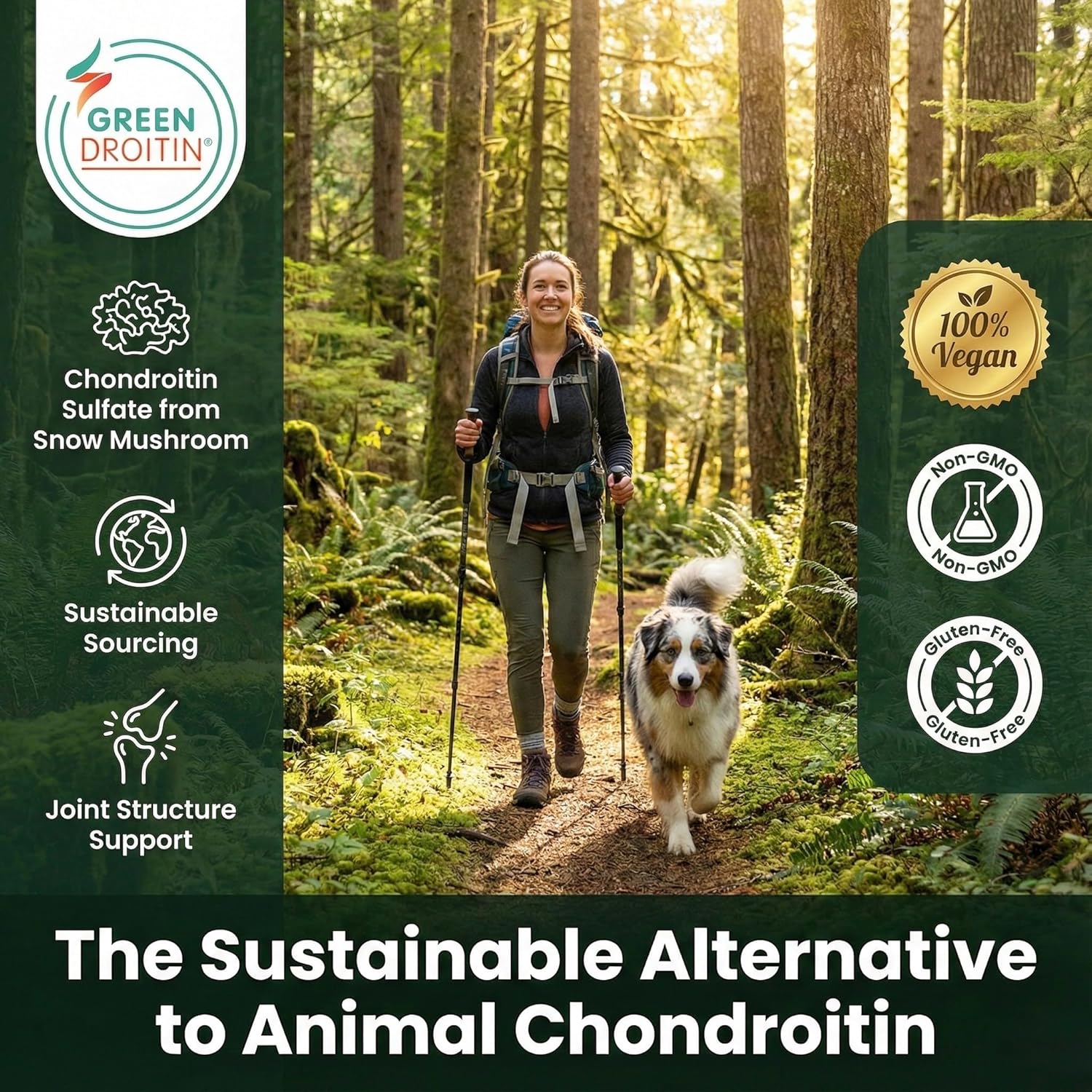 Vegan Glucosamine Chondroitin MSM Joint Support Supplement for Women and Men. Snow Mushroom Chondrotin Sulfate OptiMSM® Mobility, Cartilage & Flexibility Support Shellfish-Free, Non-GMO 120 Capsules