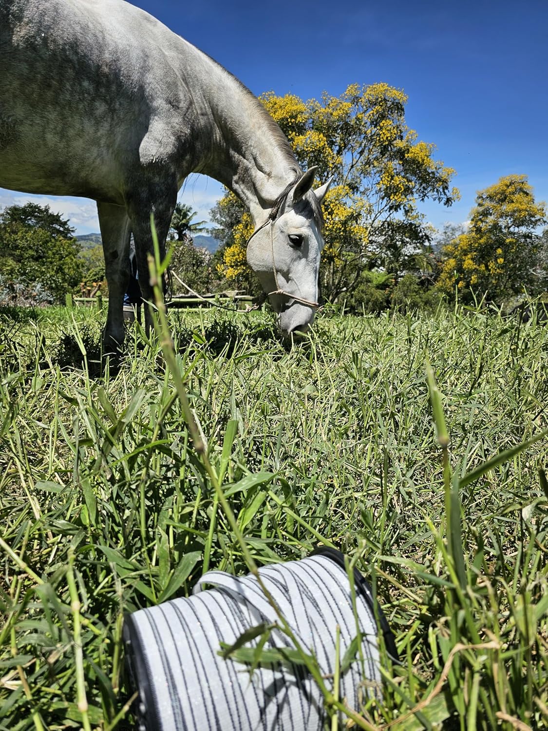 TRAE Electric Fence Polytape 1640 Feet (500 Meters) 20mm Wide | 6 Stainless Steel Conductors for High Conductivity & Rust Resistance | UV-Resistant Electric Fence Tape for Horses, Cattle & Livestock