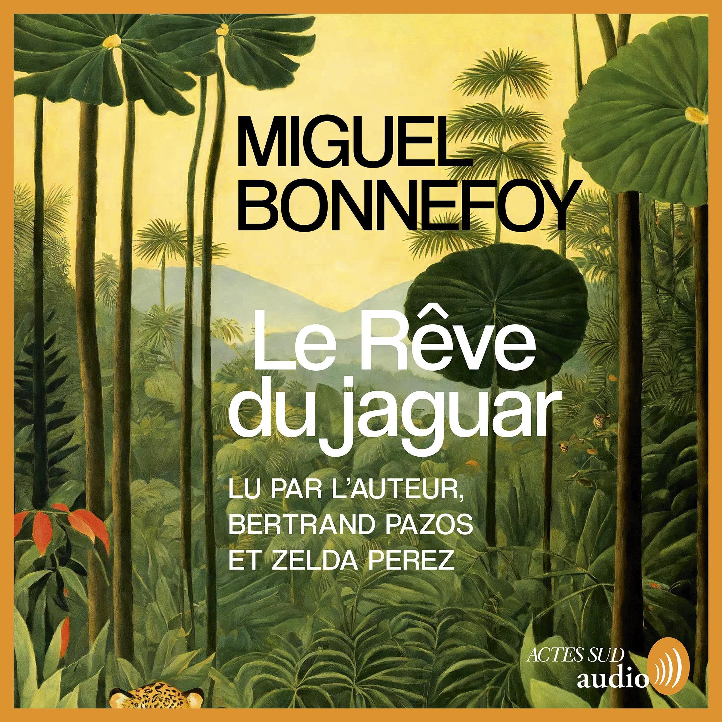 Cover art for Le rêve du jaguar