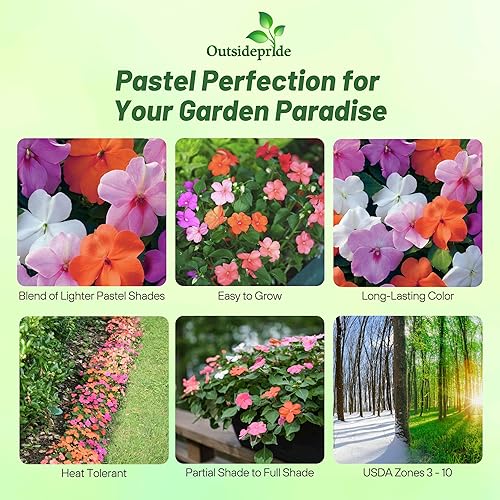 Miniatura 2 de Outsidepride 150 semillas Impatiens Xtreme Pastel Shade Garden Flower Seed Mix para plantar