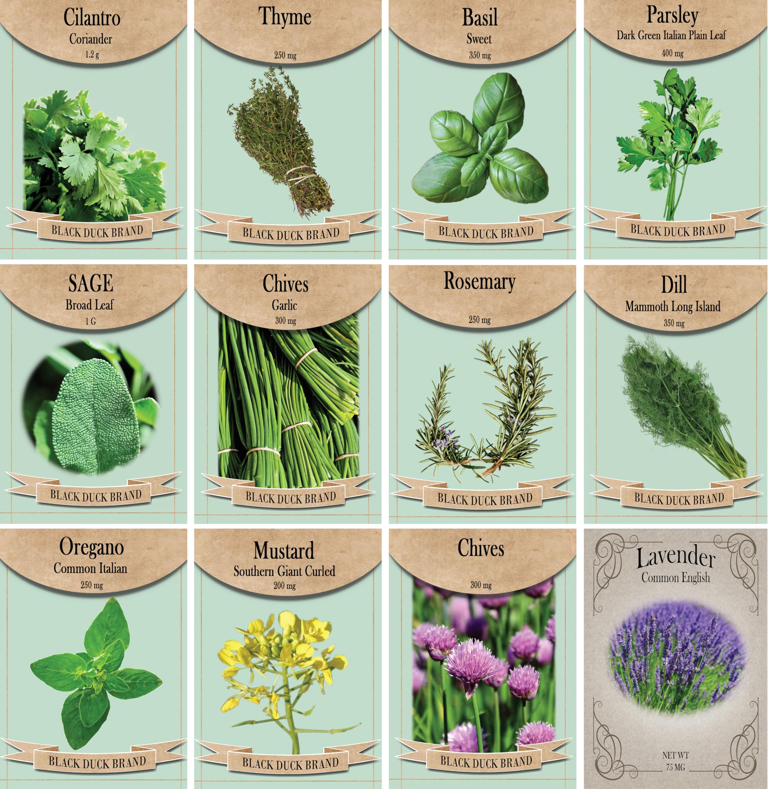 Herb Seed Pack Collection - 12 Varieties Including Basil, Parsley, Rosemary, Dill, Chives, Garlic Chives, Oregano, Mustard, Thyme, Cilantro, Sage & Lavender - Great for Gardening & Cooking