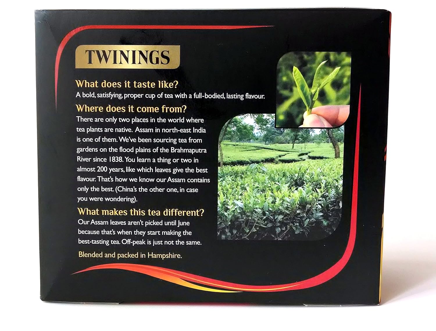Twinings Assam Strong & Malty 100% Black Tea, 80 Tea Bags, 200g (Pack of 3)