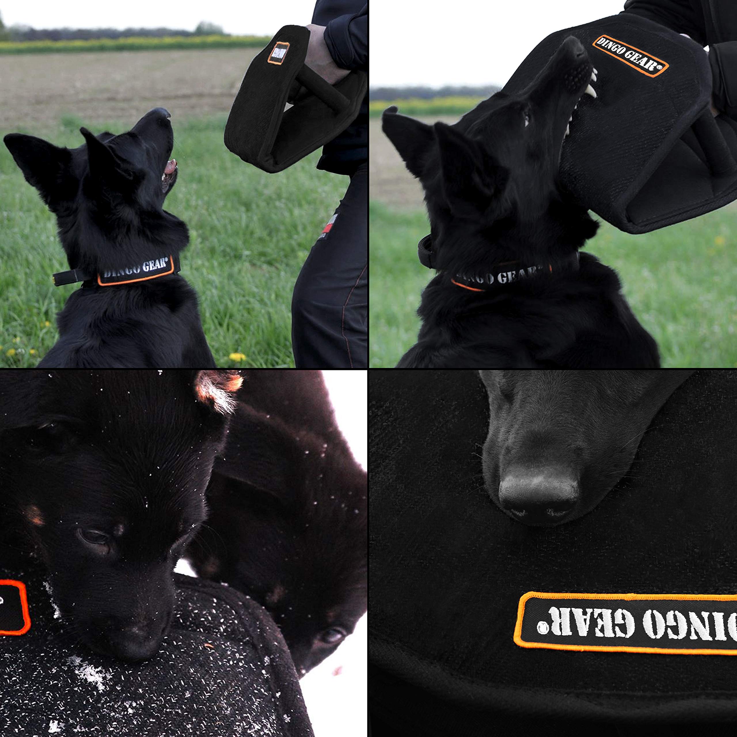 Dingo Gear Coin de Morsure Gizmo pour, IGP, Sports Canins, Travail au Mordant, Entraînement des Forces Spéciales, Manche Universel avec 3 Poignées, Fait Main, Matériau Nylcot Noir (S00518)