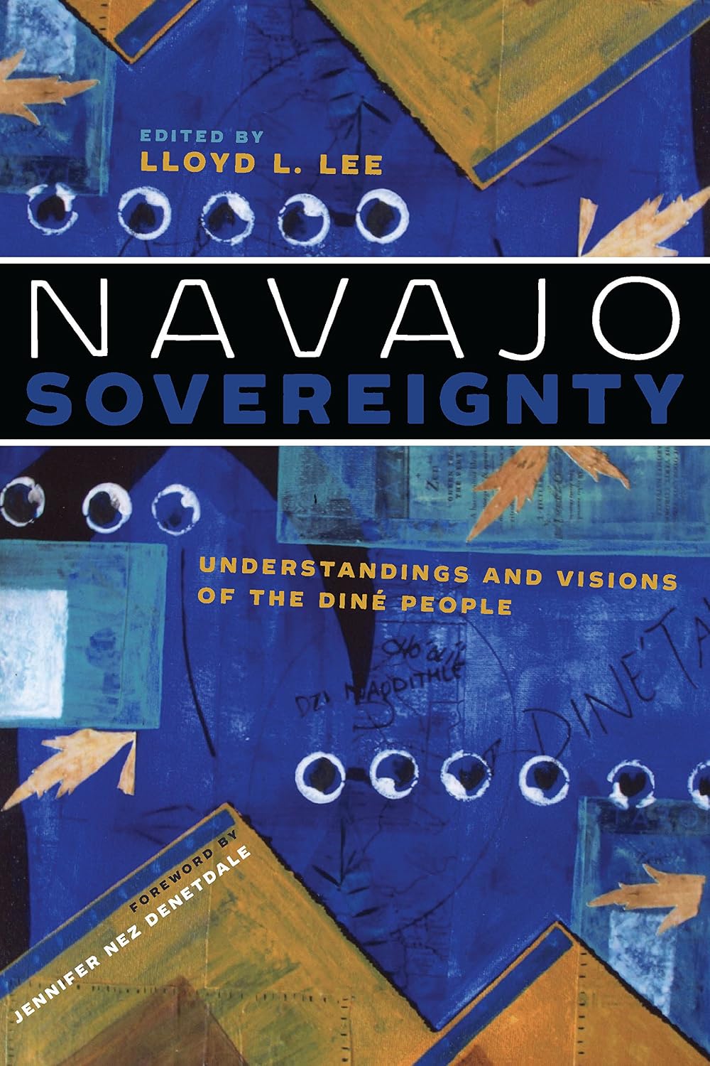Navajo Sovereignty: Understandings and Visions of the Diné People (Critical Issues in Indigenous Studies)