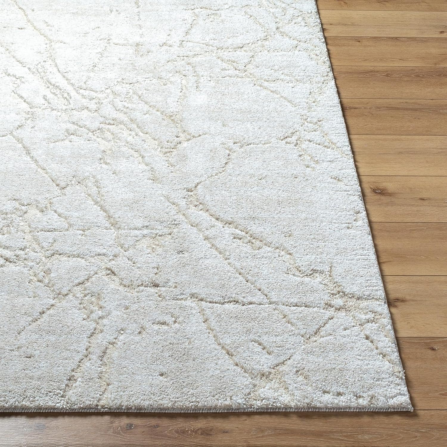 Livabliss Andorra Plus Modern & Contemporary Area Rug,5'3" x 7'3", Cream