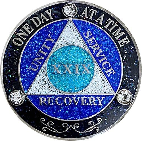 (Años 1-50) AA Moneda de recuperación de 29 años, Medallón de Alcohólicos Anónimos, Moneda de Metal, Chapado en Color Plata, Moneda de Metal con
