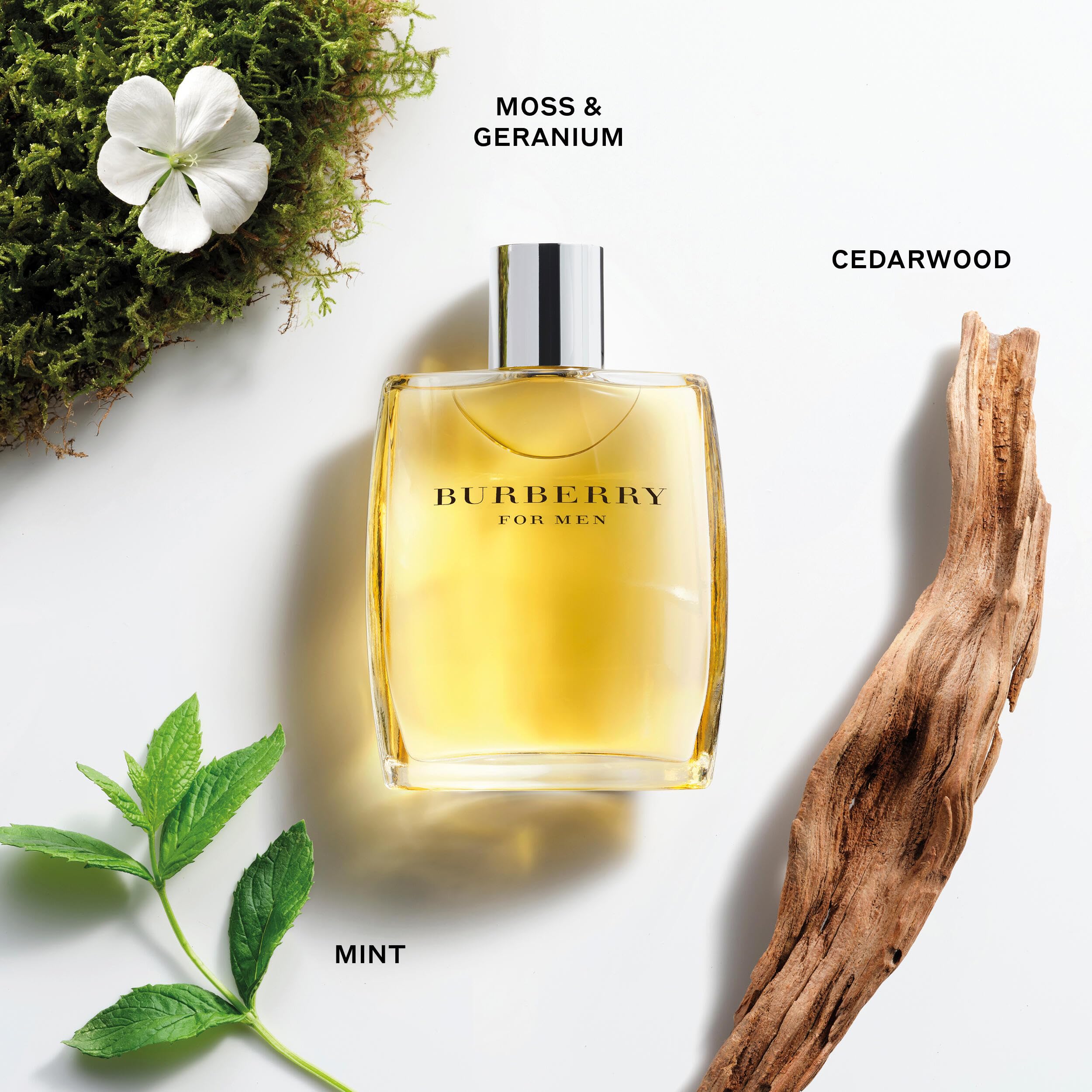 Amazon | 【バーバリー】バーバリー フォーメン (M) EDT 100mL [並行