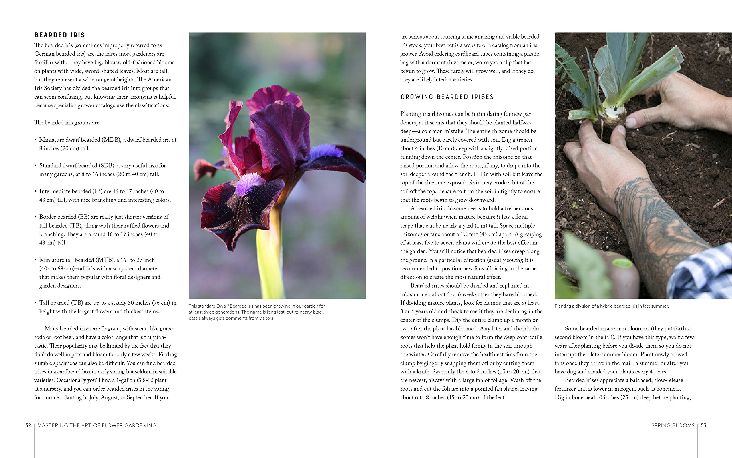Mastering the Art of Flower Gardening: A Gardener's Guide to Growing Flowers, from Today's Favorites to Unusual Varieties