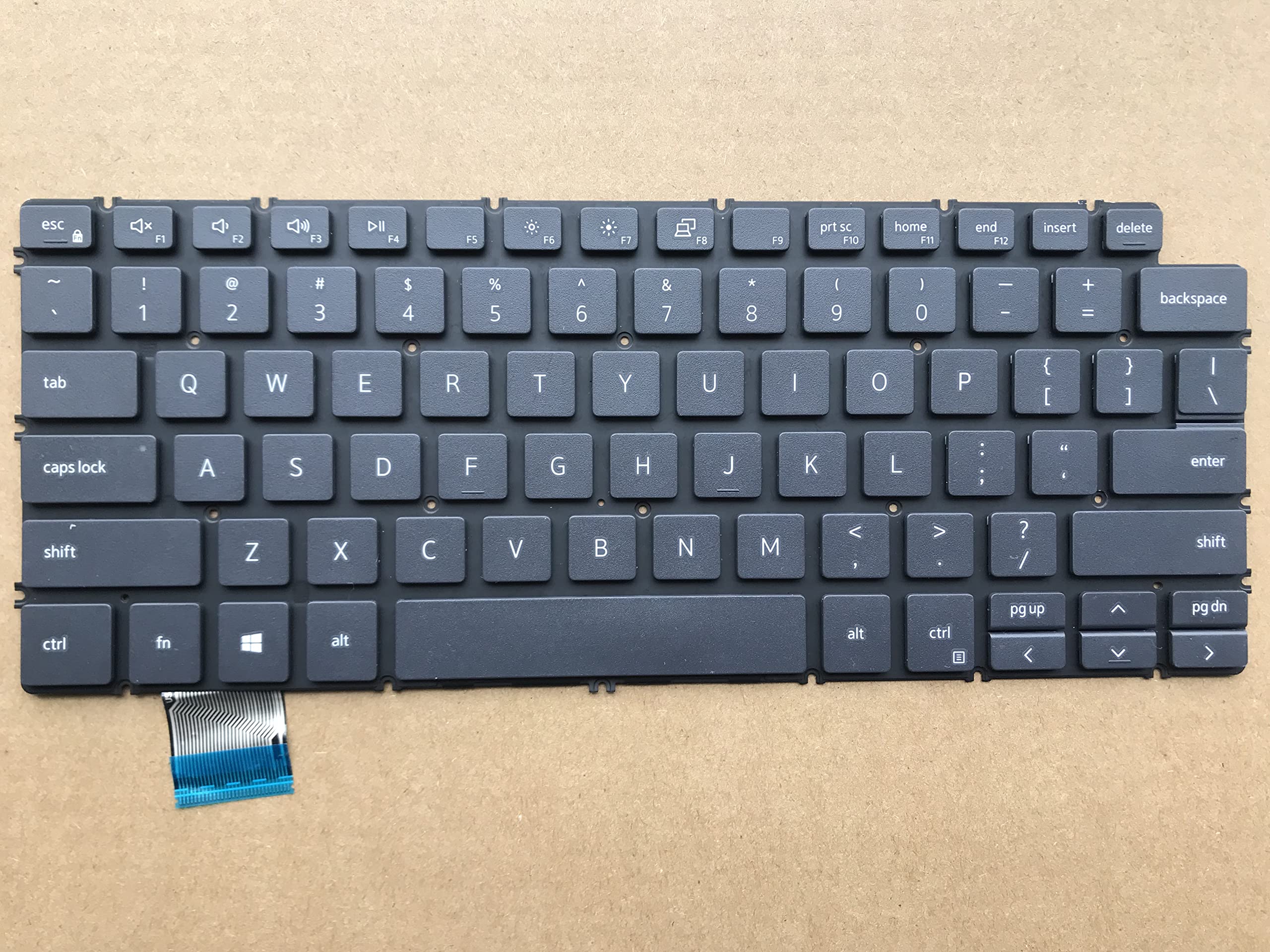 Amazon.com: Original New for Dell Latitude 13 3301 13.3