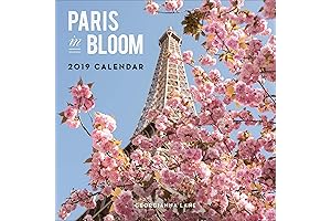 2019 Wall Calendar In Bloom With Paris Photography