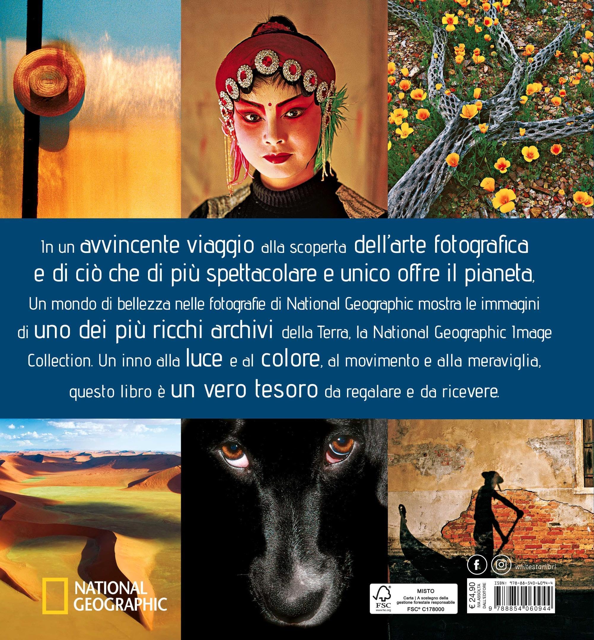 Un mondo di bellezza. Ediz. a colori