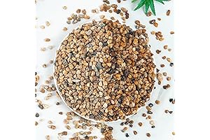 5 lbs Gravel Explorer: Embellish Aquariums, Gardens, and More